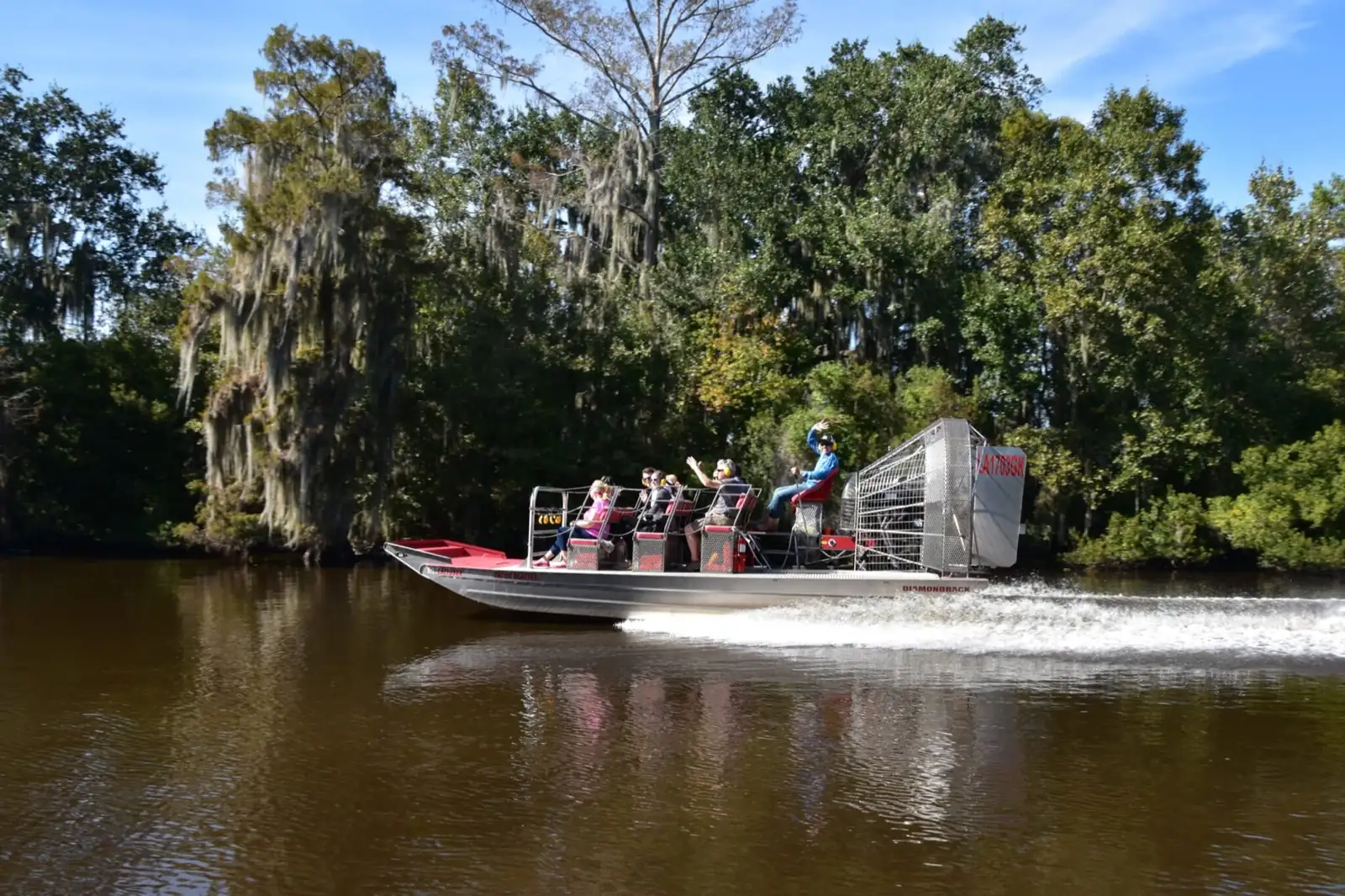 Airboat throwing a white wake past moss-draped cypress trees
